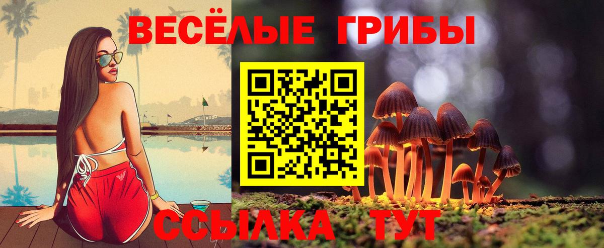 Галлюциногенные грибы прущие грибы Норильск