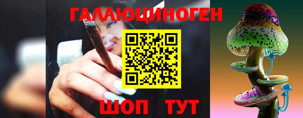 Норильск  Псилоцибиновые грибы MAGIC MUSHROOMS  Псилоцибиновые грибы мухоморы  Вход с VPN 